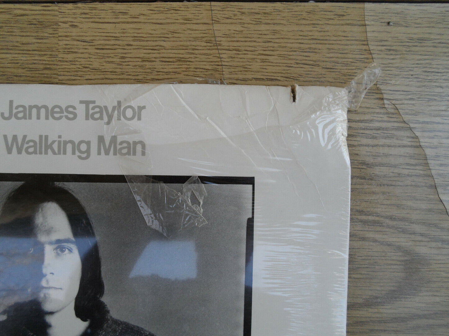 JAMES TAYLOR Walking Man WARNER BROS W 2794 LP SEALED